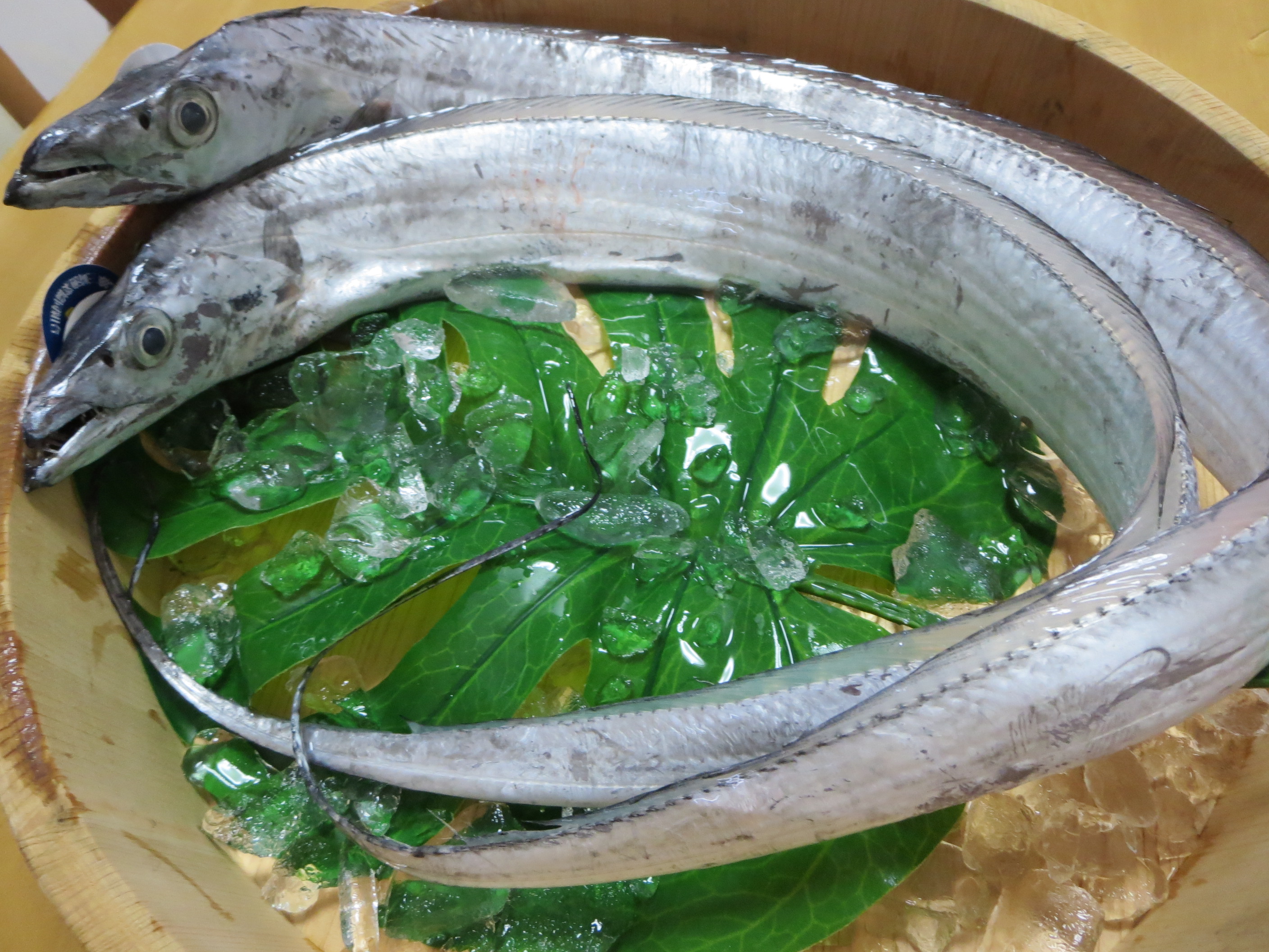 太刀魚（タチウオ）の通販 | 漁師さん直送市場【家庭用】
