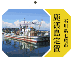 鮮魚通販なら 七尾 鹿渡島定置
