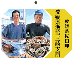 三崎漁協