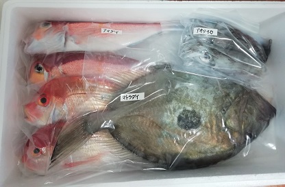 漁師さん直送市場 家庭用 鮮魚通販 漁師さんが今朝獲れた鮮魚を産地直送
