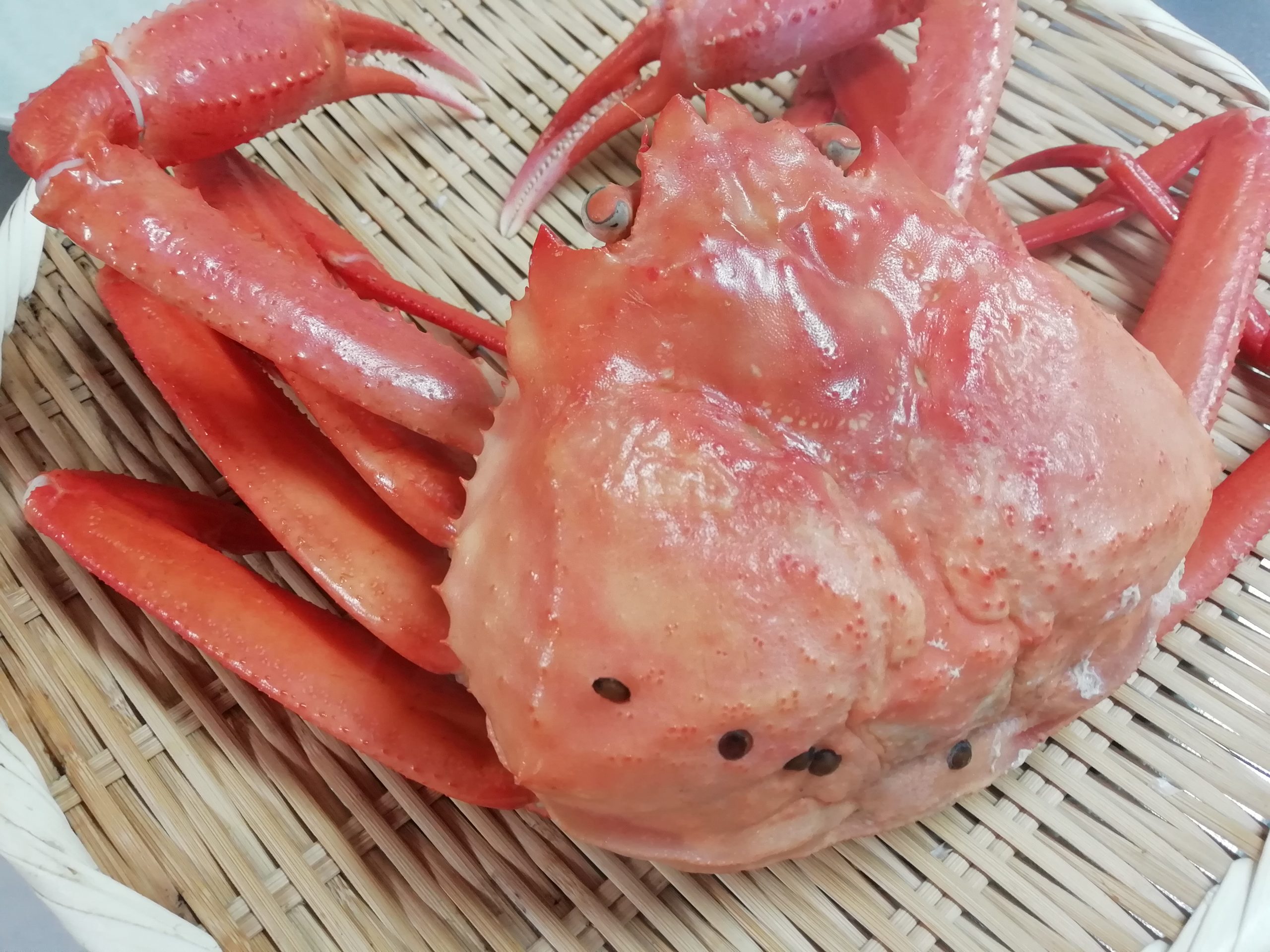 富山県産　紅ズワイガニ　4匹　冷凍ボイル　特大〜大サイズ　数量限定　新鮮