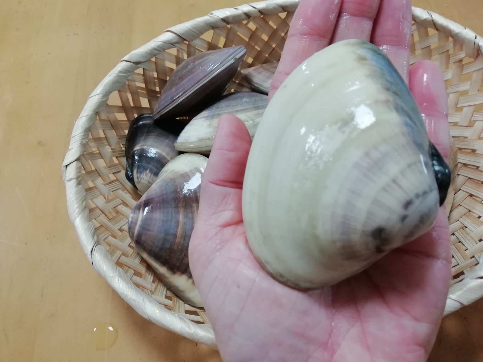 ハマグリの通販【産地直送】値段は?おすすめレシピ6選